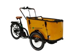 Elektrolastenfahrrad Family-Cargo 250 W