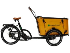 Elektrolastenfahrrad Family-Cargo 250 W