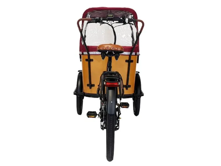 Elektrolastenfahrrad Family-Cargo 250 W