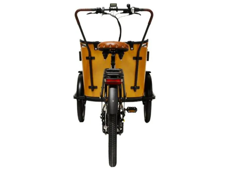 Elektrolastenfahrrad Family-Cargo 250 W