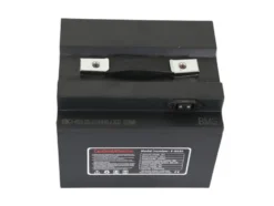 Elektromobil »E-Mover Deluxe« 1000W 20 km/h inkl. Topcase und Dach