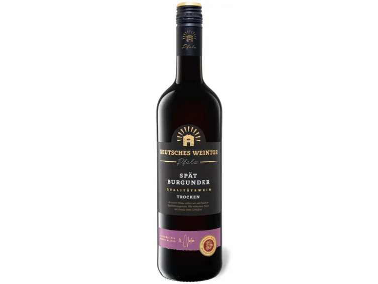 EXCLUSIV Spätburgunder QbA trocken, Rotwein 2023
