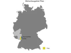 EXCLUSIV Spätburgunder QbA trocken, Rotwein 2023