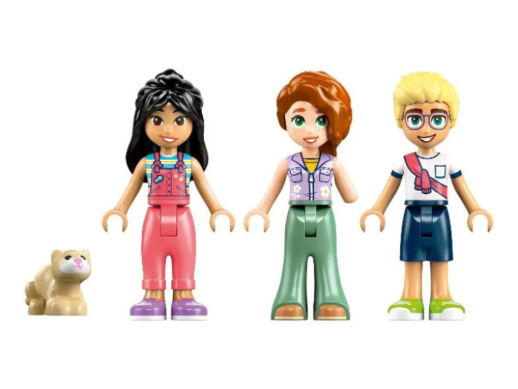 42663 Friendship Camper Van Adventure