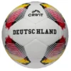 Fußball-WM