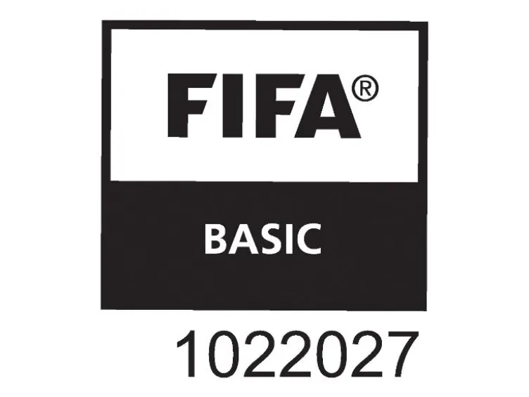 Fußball-WM