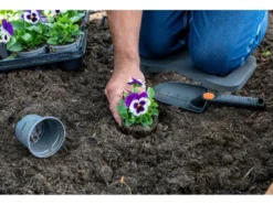 Gartenset, 4-teilig