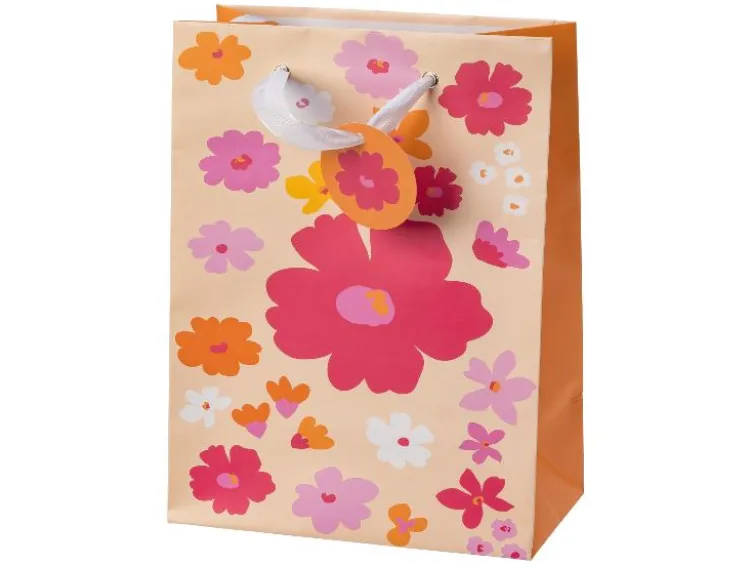 Geschenktaschen-Set, 10 Stück