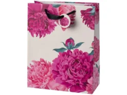 Geschenktaschen-Set, 10 Stück
