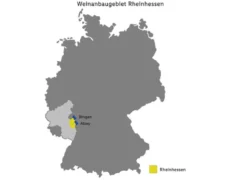 Grauburgunder QbA trocken, Weißwein 2025