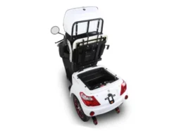 GreenStreet Elektromobil »E-Mover«, 20 km/h, 25km/h, 50 km Reichweite, mit Topcase