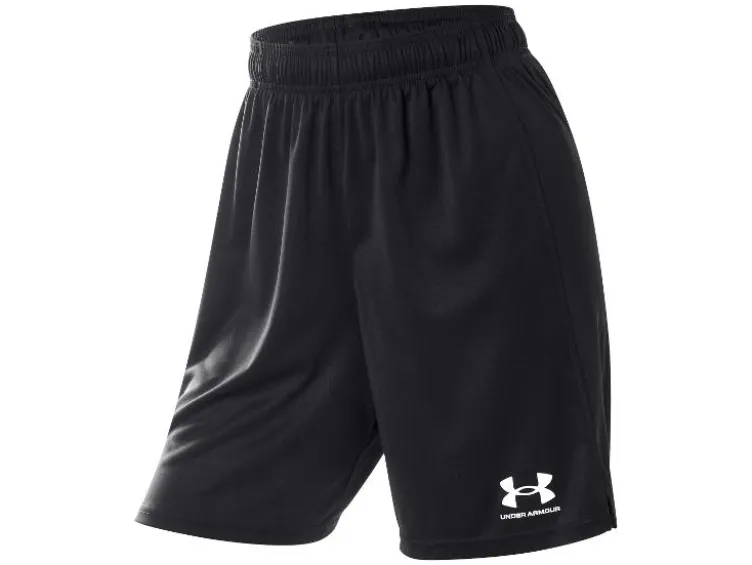 Herren Funktionsshorts »UA Challenger Core«