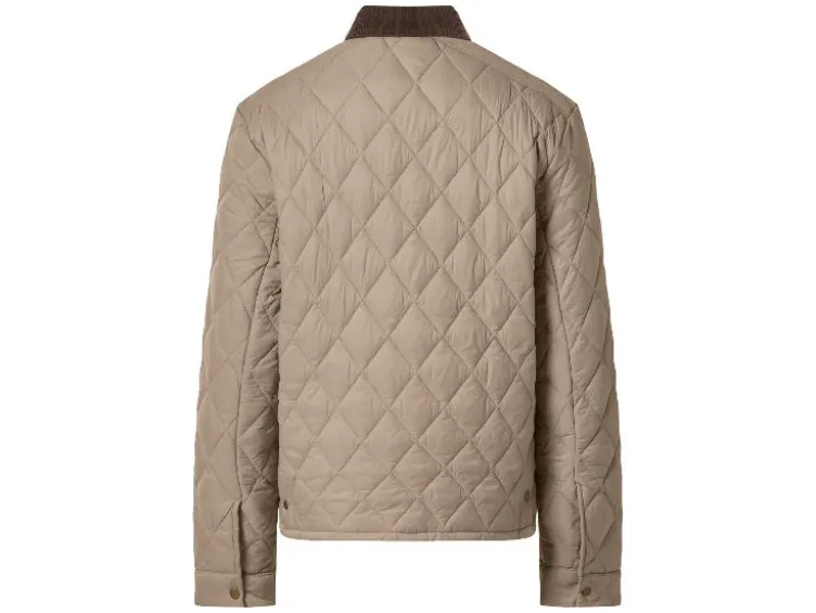 Herren Steppjacke