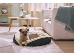 Hundebett