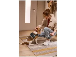Hundegeschirr