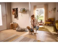 Hundegeschirr