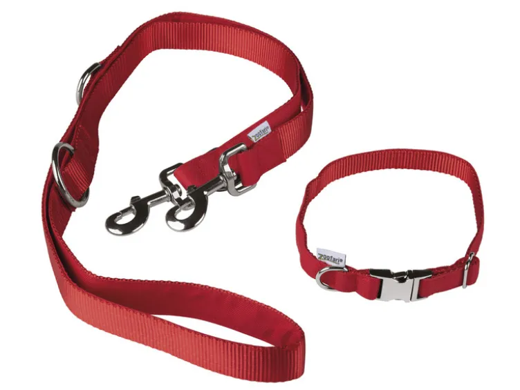 Hundehalsband mit Hundeleine