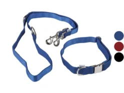 Hundehalsband mit Hundeleine