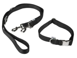 Hundehalsband mit Hundeleine