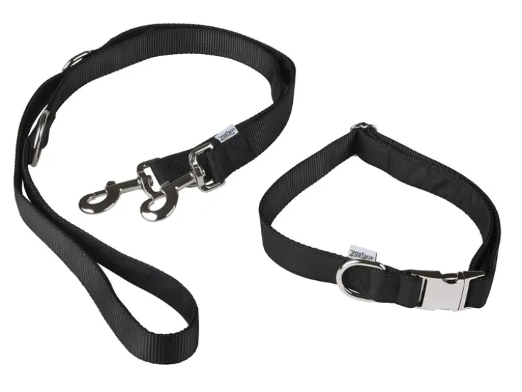 Hundehalsband mit Hundeleine
