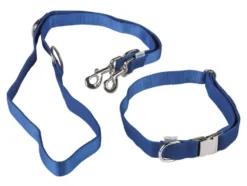 Hundehalsband mit Hundeleine