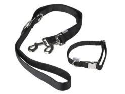 Hundehalsband mit Hundeleine