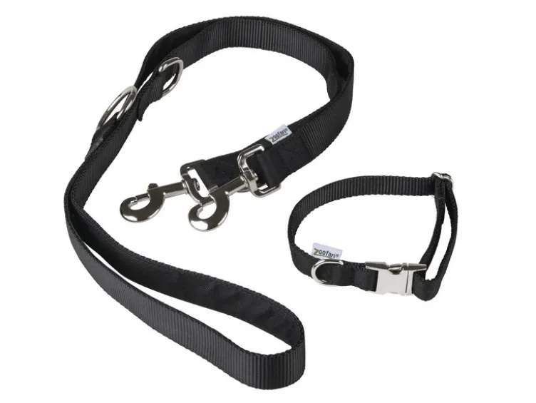 Hundehalsband mit Hundeleine