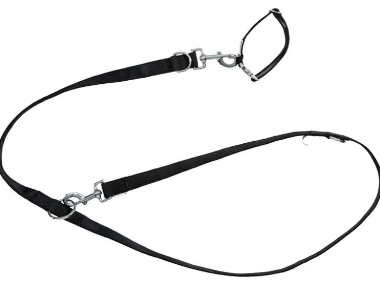 Hundehalsband und Hundeleine