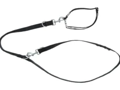 Hundehalsband und Hundeleine