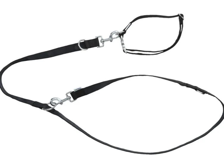 Hundehalsband und Hundeleine