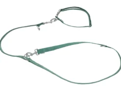 Hundehalsband und Hundeleine