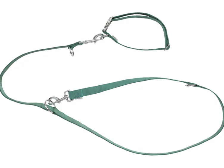 Hundehalsband und Hundeleine