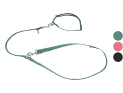 Hundehalsband und Hundeleine