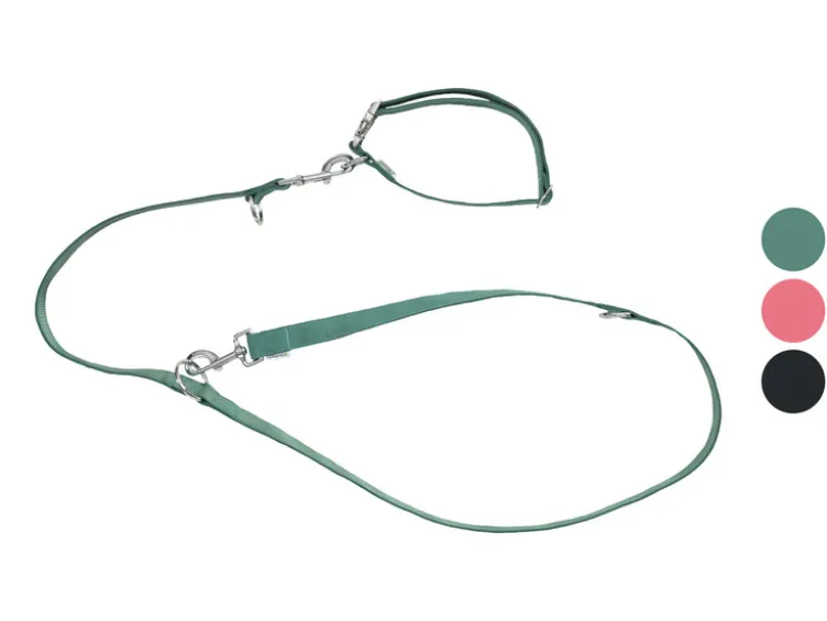Hundehalsband und Hundeleine