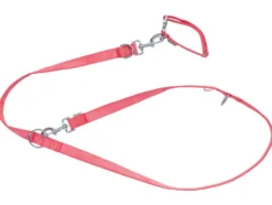 Hundehalsband und Hundeleine