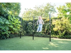 Ivy Reckstange