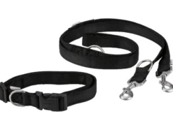 Joggingleine / Schleppleine / Hundehalsband mit Hundeleine