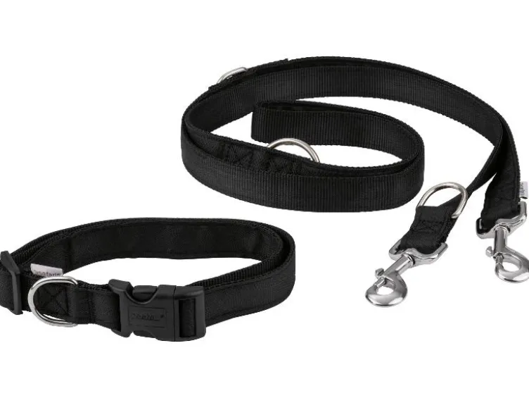 Joggingleine / Schleppleine / Hundehalsband mit Hundeleine