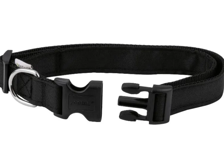 Joggingleine / Schleppleine / Hundehalsband mit Hundeleine