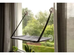 Katzen Fensterliege