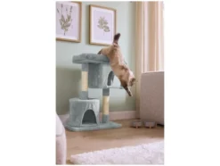 Katzen Kratzbaum