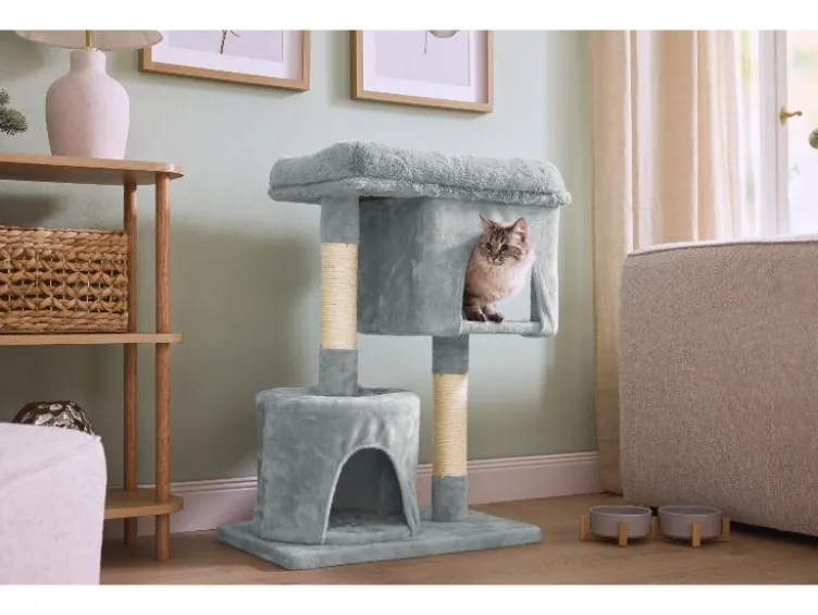 Katzen Kratzbaum
