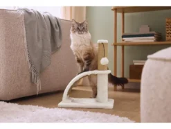 Katzen Kratzstamm
