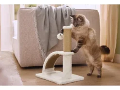 Katzen Kratzstamm
