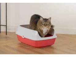Katzentoilette Mary Loo