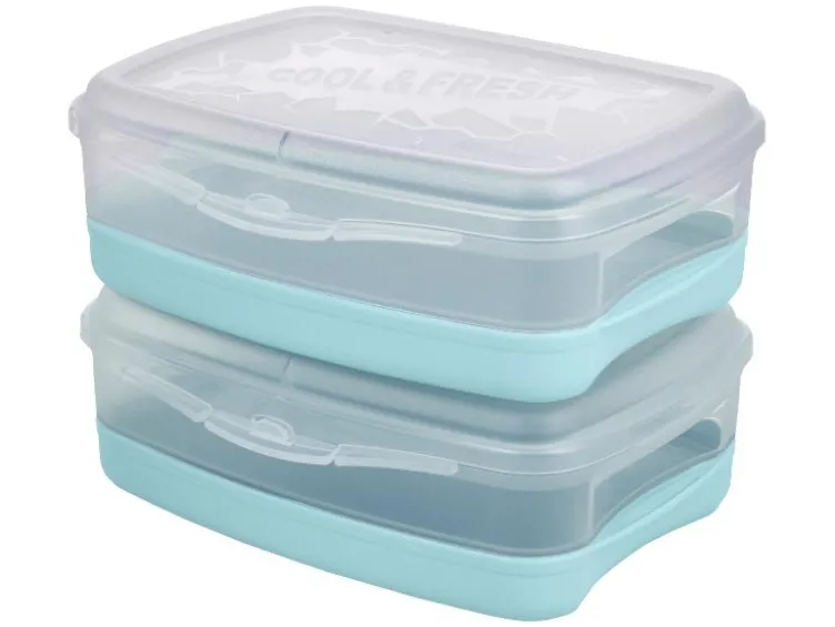 Kühl-Lunchboxen/ Kühl-Partycontainer/ Kühl-Tortenglocke