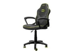 Kinder Gaming Stuhl »GXT703 REVVO«