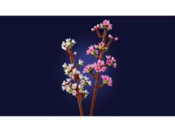 40725 »Kirschblüten«