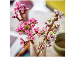 40725 »Kirschblüten«