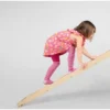 Kletterleiter und Rutsche, 2in1